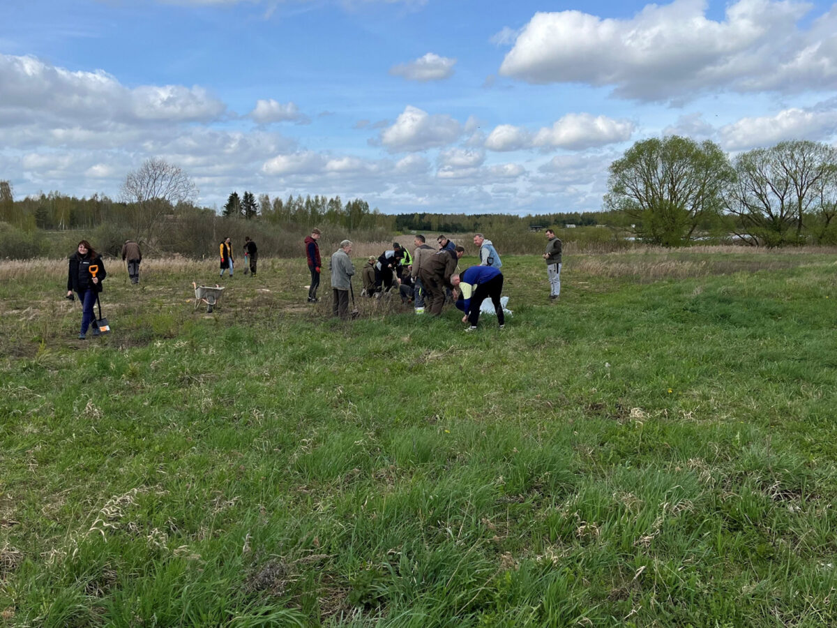 Over 500 trær plantet under den nasjonale skogplantingen — bilde 3