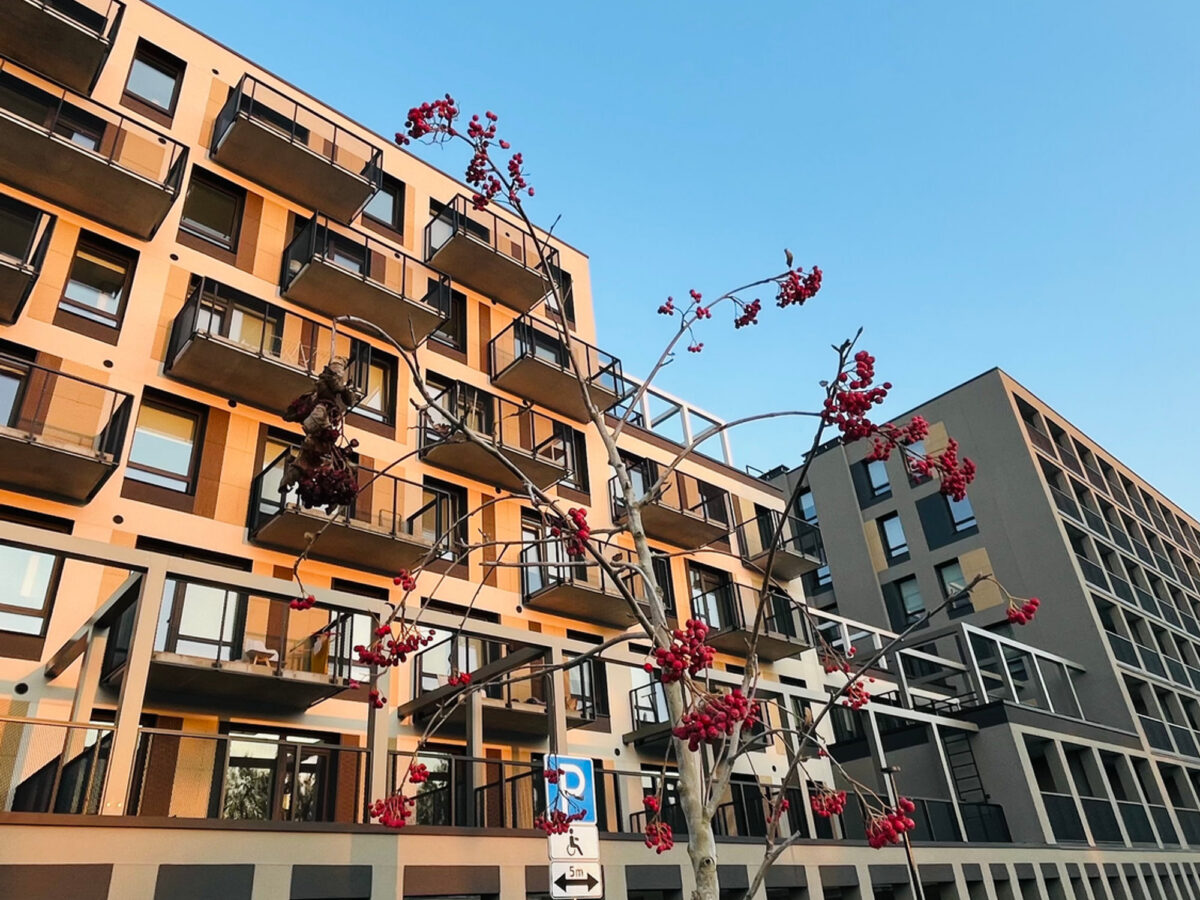 Over 1000 m² på boligterrasser — bilde 2