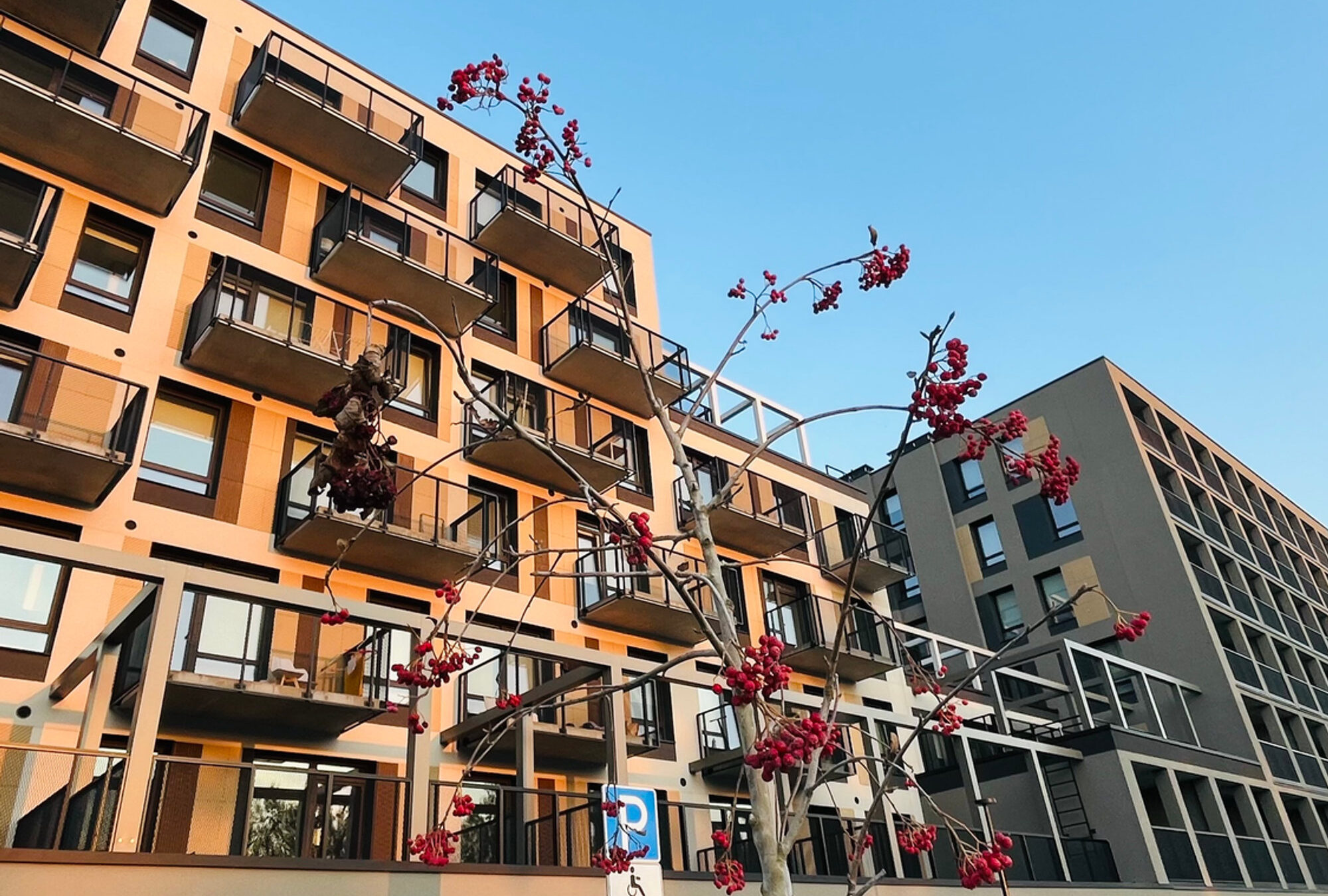 Over 1000 m² på boligterrasser — bilde 2