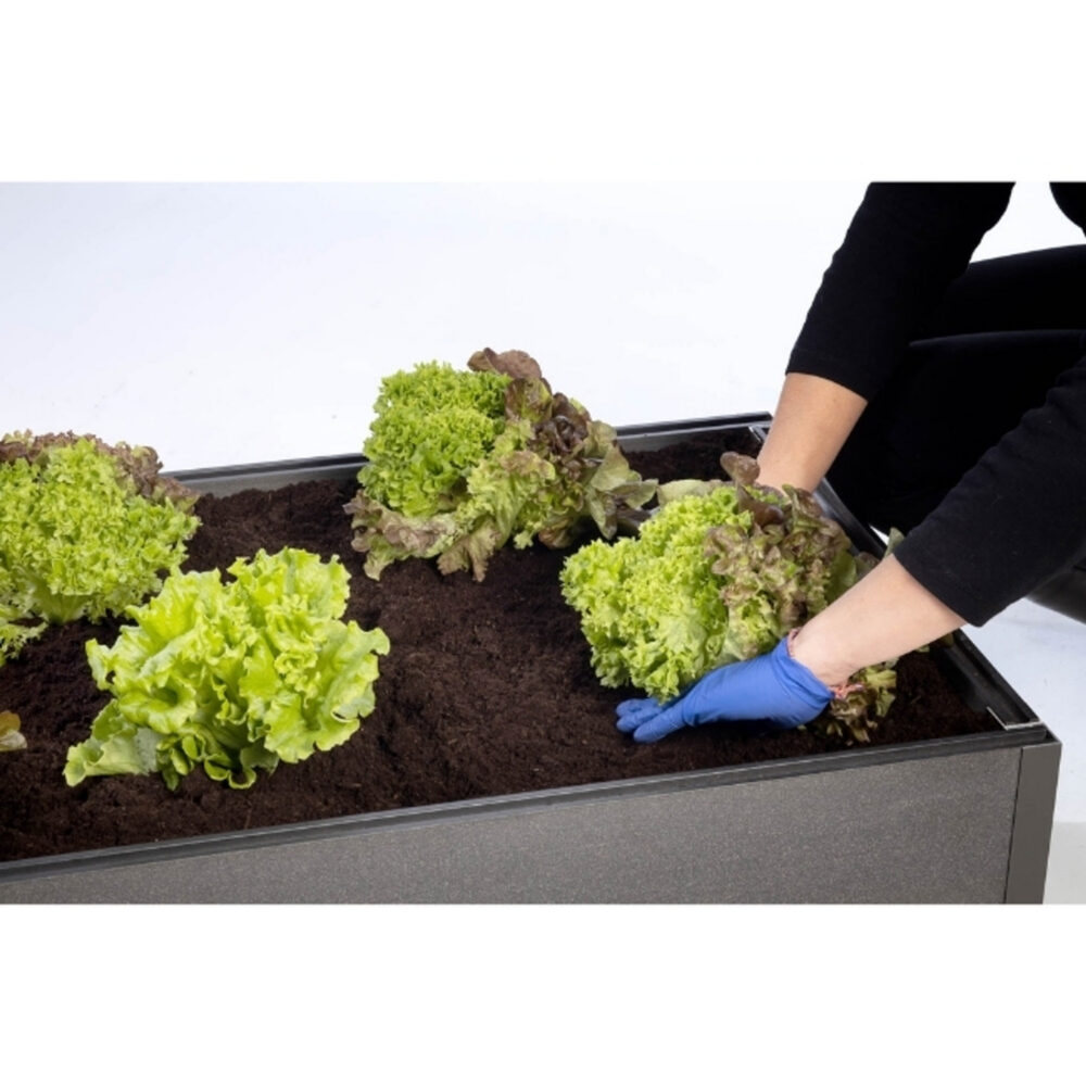 Plantekasse InoWood 2 — bilde 3