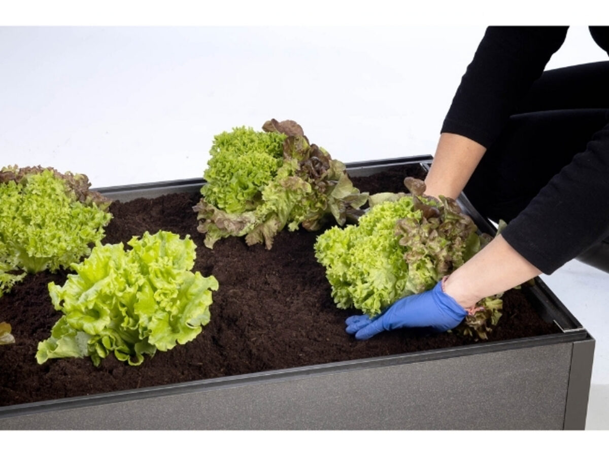 Plantekasse InoWood 2 — bilde 3